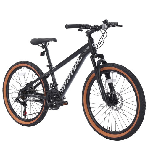 Mountain bike spatial - mountain, 24