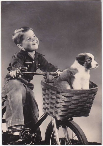 Child with puppy dog - puppy,