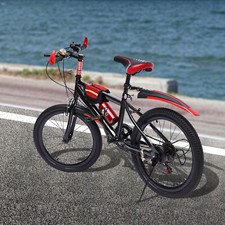 Bicicletta per bambini 20